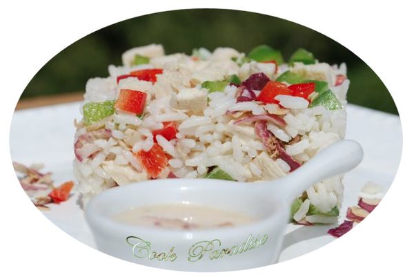 riz--poivrons-poulet.jpg