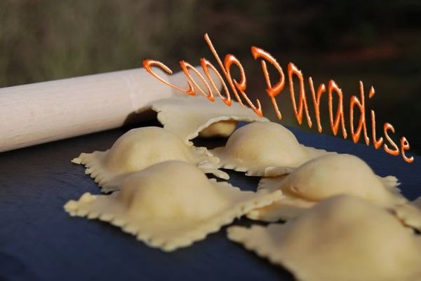 Raviolis poulet