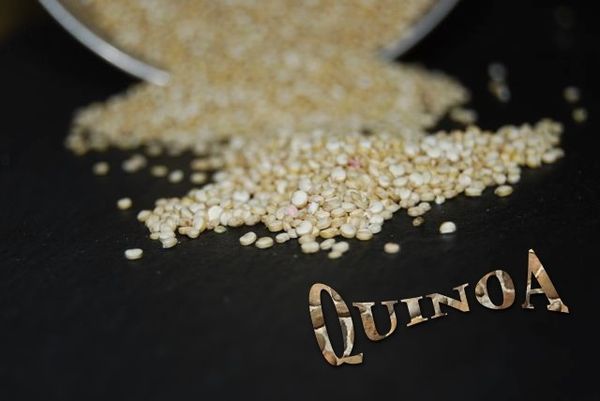 QUINOA