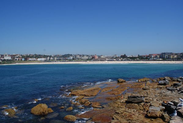 Rencontres sydney