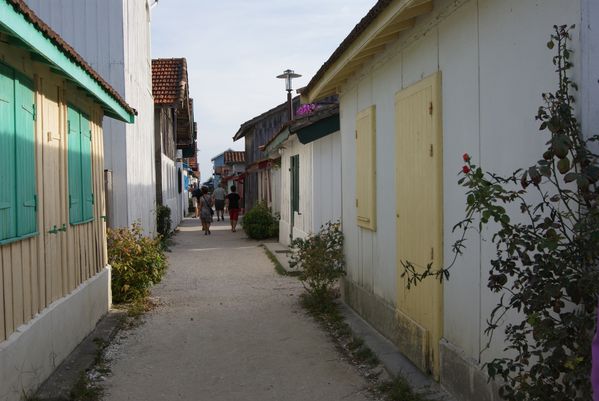DSC01176