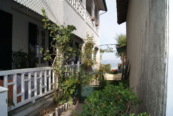 DSC01178