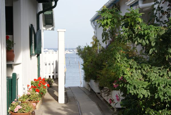 DSC01182
