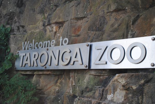 Taronga-Zoo 0335