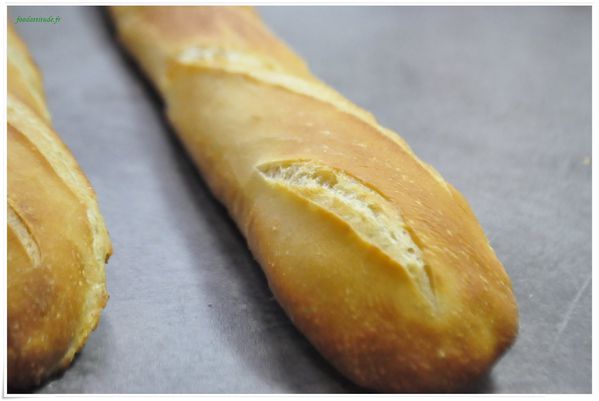 Baguette-F-024.JPG