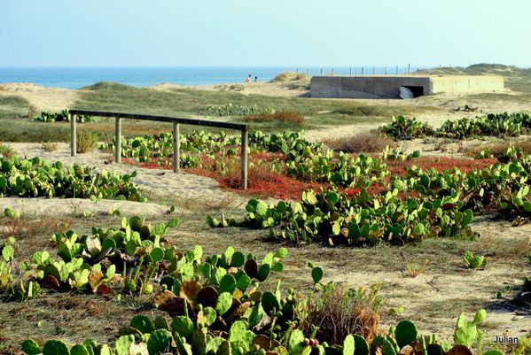 z03---Sur-la-plage.JPG