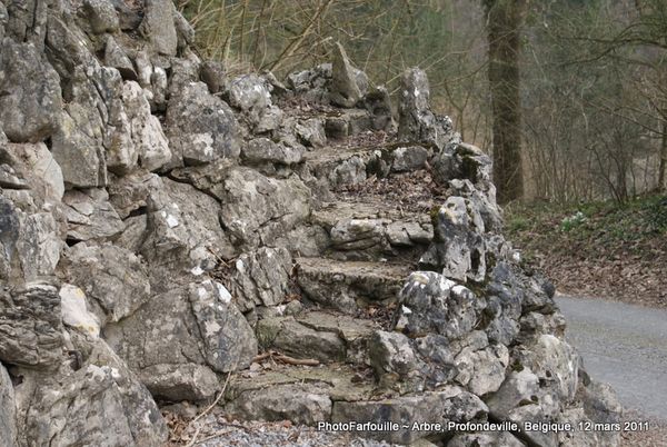 randonnées pedestre avec son cheval Promenade_campagne_arbre_profondeville_photofarfouille-75-