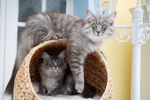 14082010 EARL GREY ET FJORD0011
