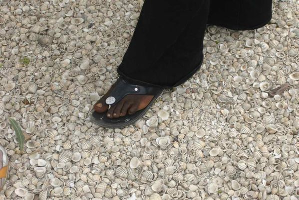 425-Les-pieds-de-Rosalie-Charlotte-dans-les-coquillages.-Pl.jpg