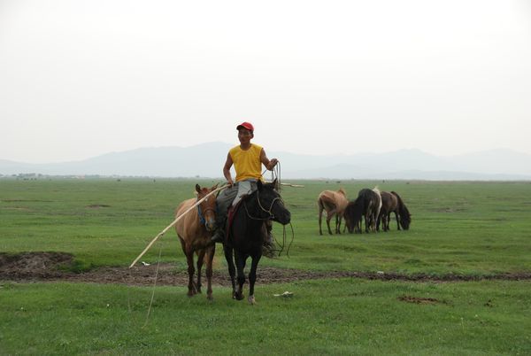 Bayarsaikhan-au-travail.jpg