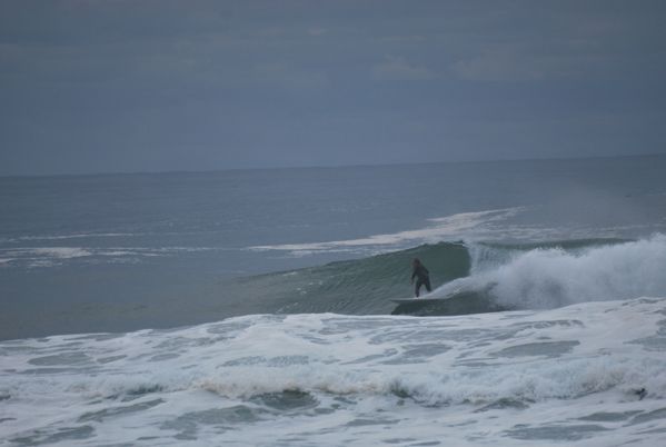 LES-lANDES-0513.JPG