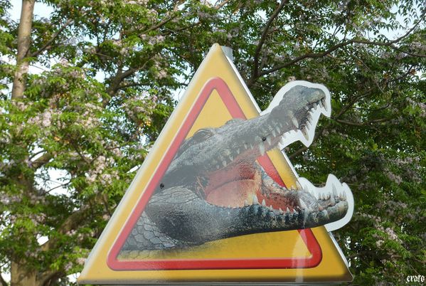 11-mai-2011---La-ferme-aux-crocodiles-016-a-b.jpg