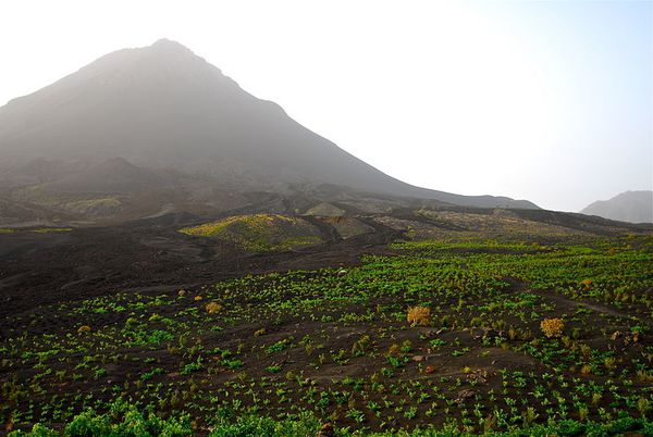 vignoble-with-the-volcan - www.vinhamariachaves.eu