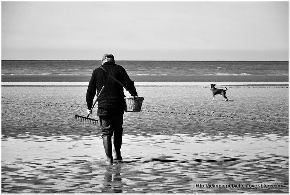 Mes-images-7-3784.JPG