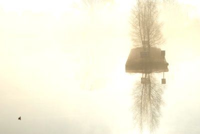 canard-canal-brouillard-er-soleil.jpg