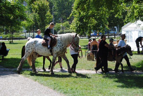 a-02-07-2011--12-.jpg