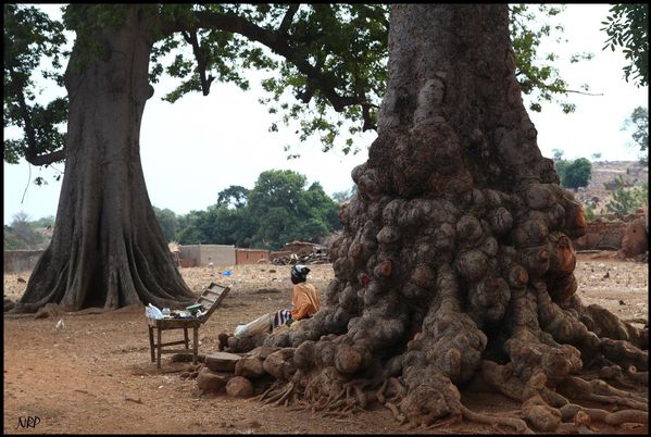 Ouagadougou 0162NRP (Grand)