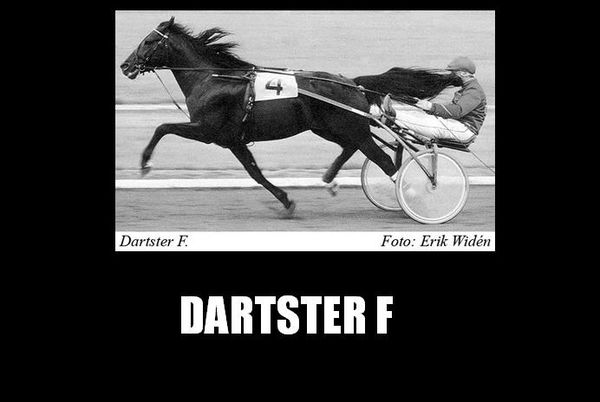 Dartster F [1]