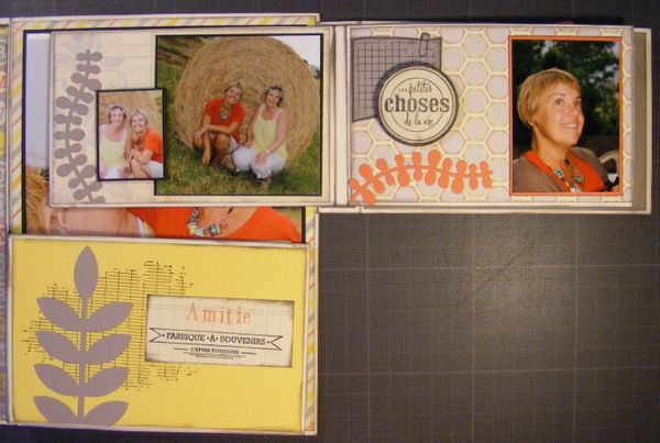 DSCF6389--Copier-.JPG