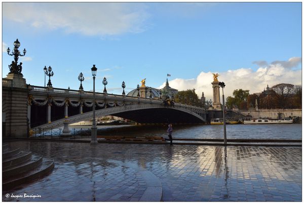 Paris apres la pluie le Pont Alexandre III le Grand Palais