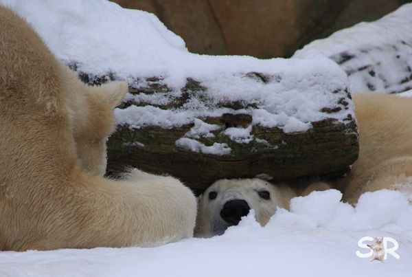 Januar-2010 2179