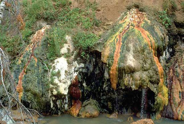 Alg-and-bacterial-mats---USGS.jpg
