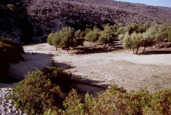 MAD Augustin 1986 01