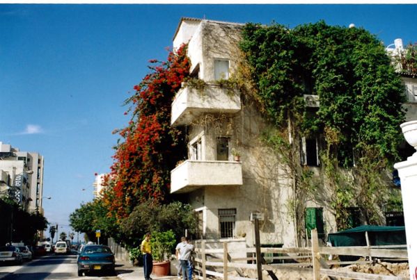 1-Top-003-copie-1.jpg