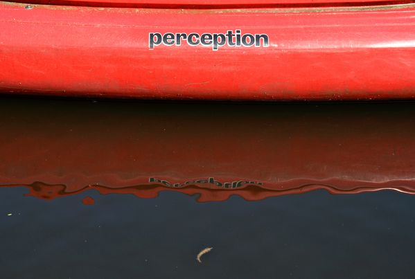 perception-1.jpg.psd.jpg