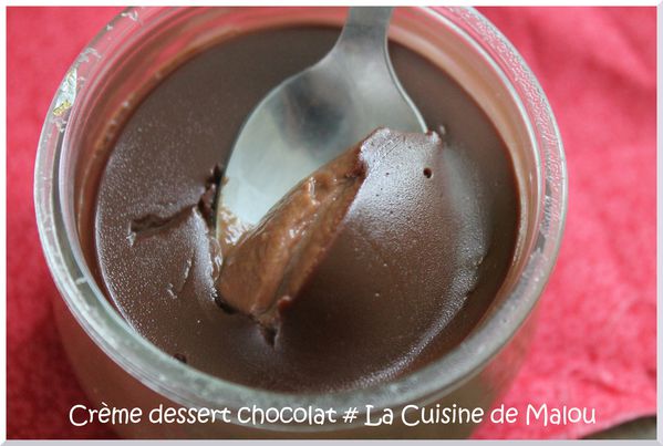 recette-thermomix-creme-dessert-chocolat-ultime.JPG