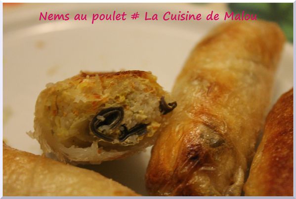 Nems-poulet-vietnam-recette.JPG