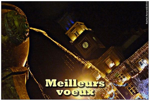 P1010212 10x15-72b voeux2010