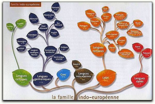 indo-europeen_branche.jpg