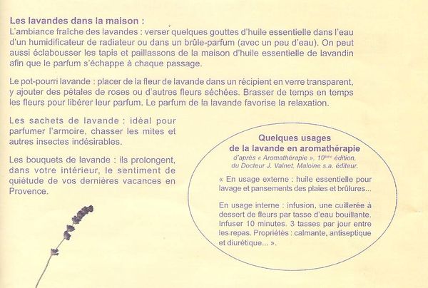lavande-maison.jpg