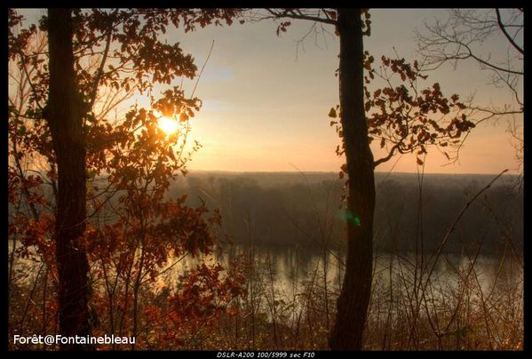 Vue sur la seine depuis la Forêt de Barbeau Forêt de Barbeau