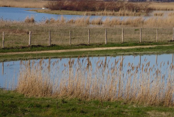 port-de-vitrezay-le-8-03-2014-028.JPG