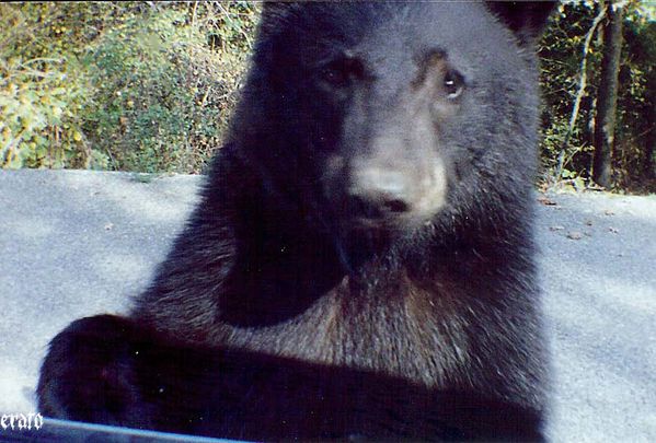 ours-2.jpg