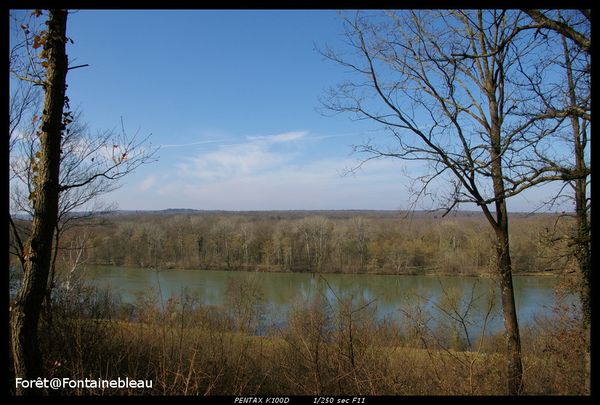 Vue sur la seine depuis la Forêt de Barbeau Forêt de Barbeau 3