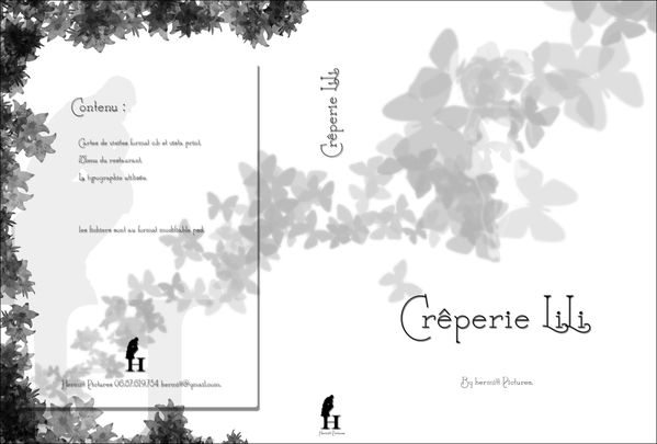 jaquette-dvd-lili.jpg