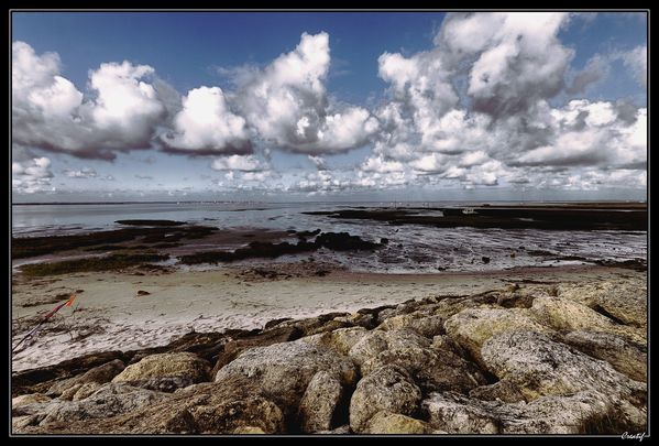 les-pieds-dans-le-sable--5-.jpg