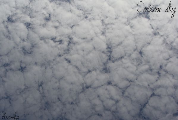 cotton-sky.jpg