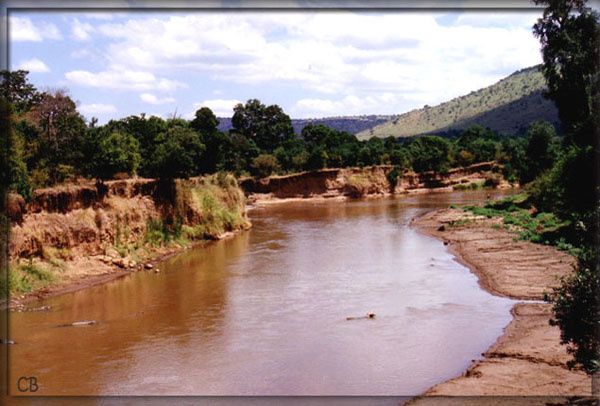 Kenya-Mara1-w.jpg