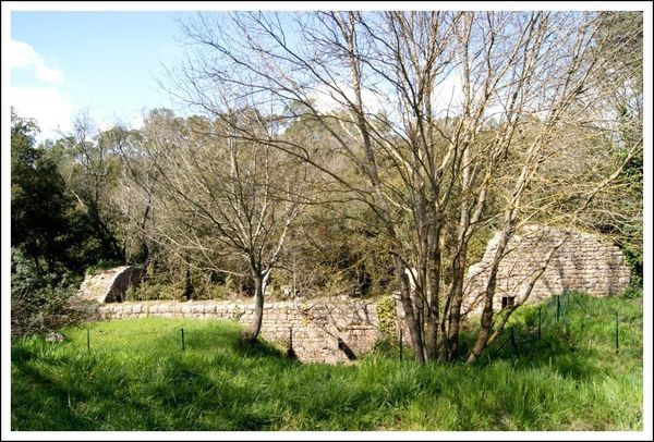 Abbaye-de-Thoronet_--51-.JPG