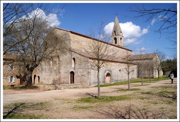 Abbaye-de-Thoronet_--7-.JPG