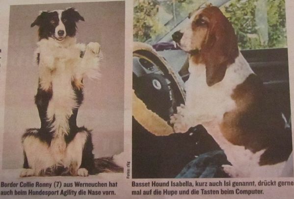 Hundes-001.jpg