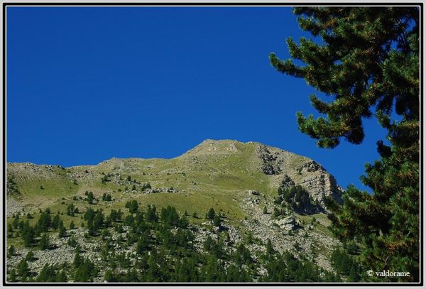 02 mont guillaume-border