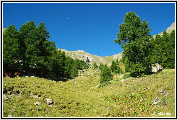 04 crete de l arpion-border