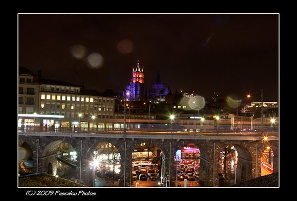 paysages-9305-Modifier.jpg