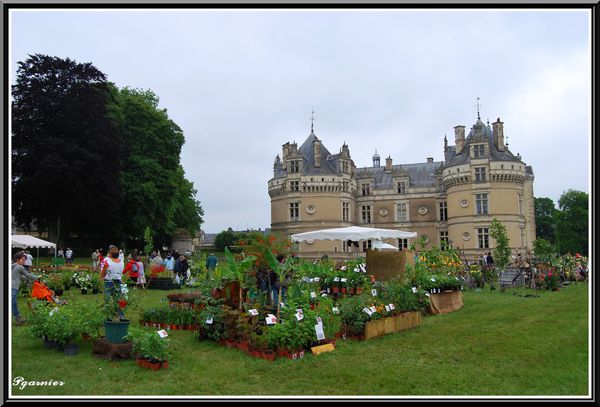 La-fete-des-jardiniers 0025