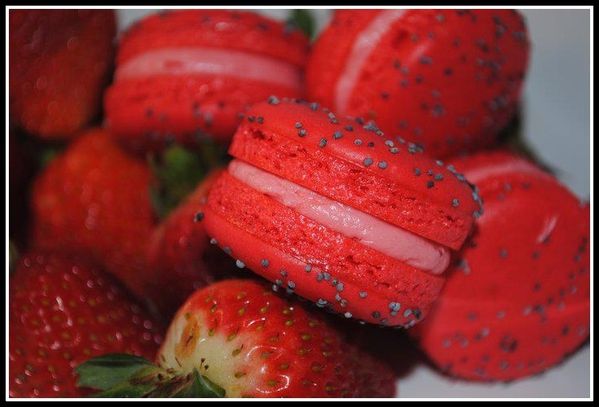 Don-Macaron---Lisbonne--12.jpg